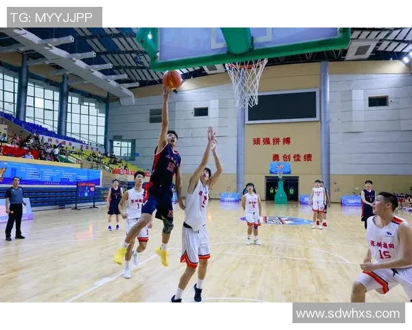 实时新闻深圳篮球队的成长历程与奋斗精神全景纪实